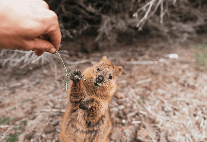 5 Days Perth Holidays