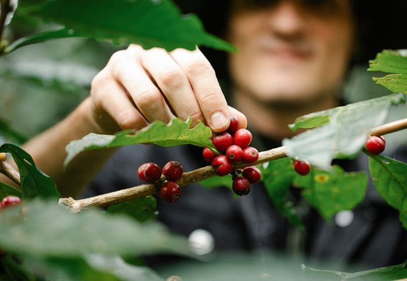 6 Days Fruitful Journey Sydney & Canberra