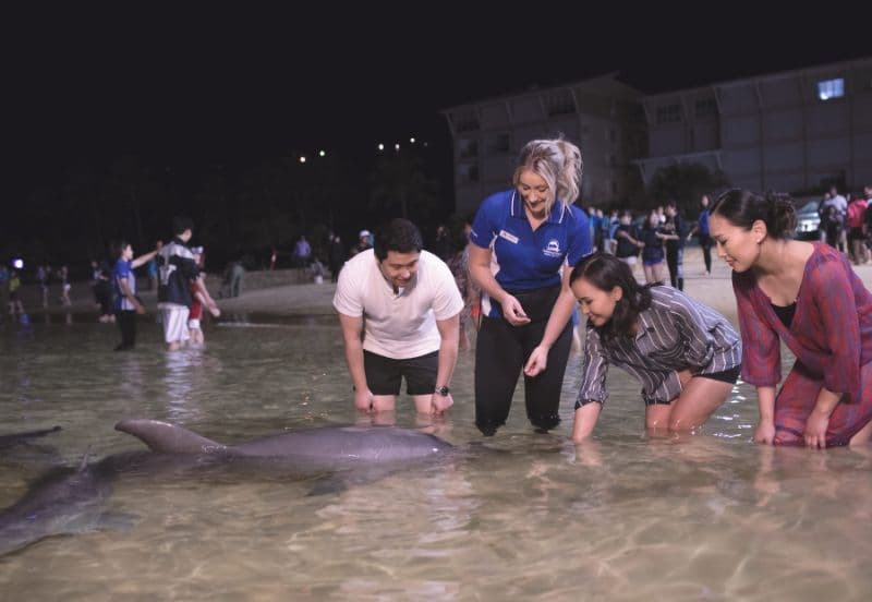 7 Days Queensland Trio