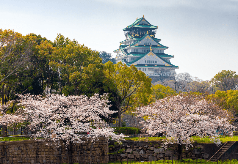 8 Days Spring in Osaka & Beyond