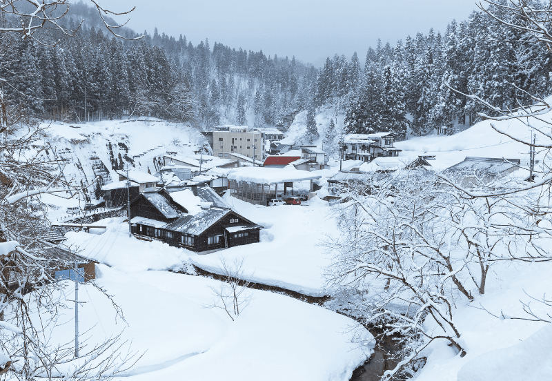 9 Days Snow in Spring