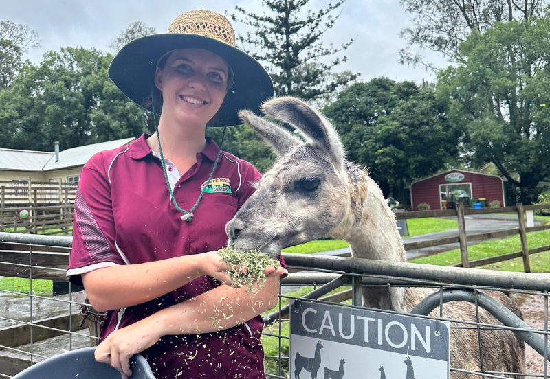 7 Days Qurban in Australia