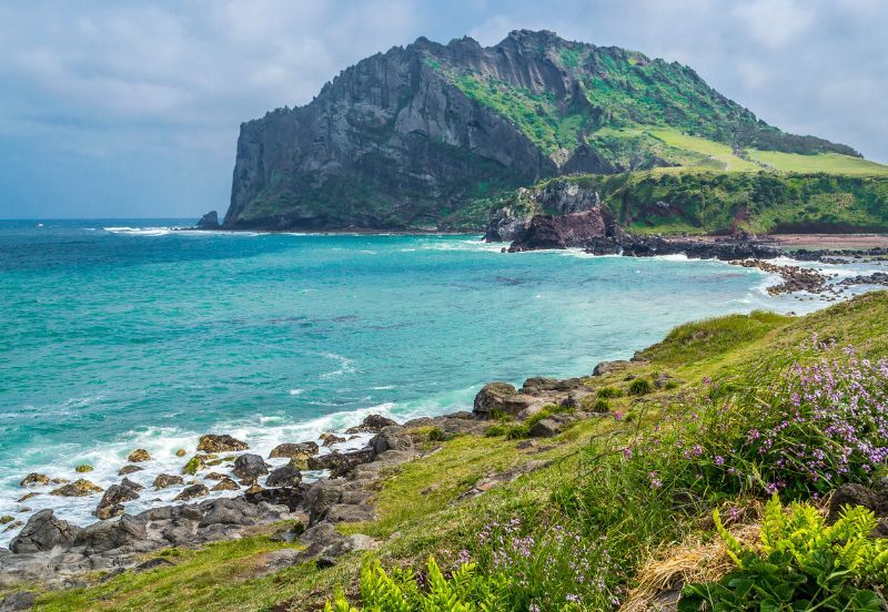 9 Days Best Of Korea