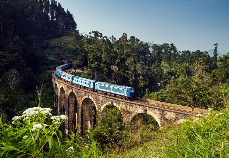 7 Days Enchanting Sri Lanka