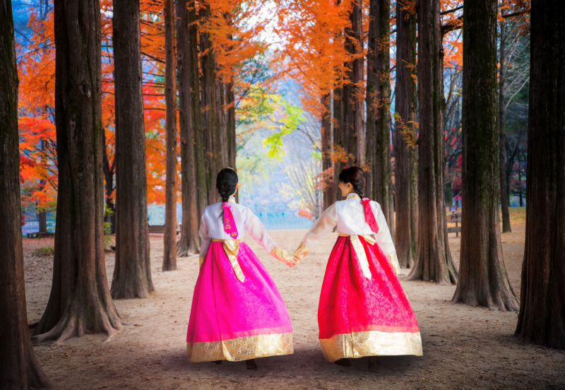 6 Days Seoul Stopper