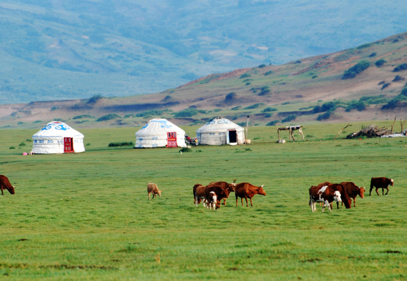 7 Days Beijing & Inner Mongolia